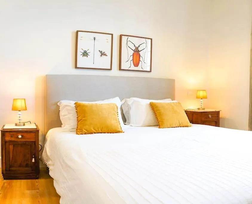 Renovated Traditional House W 3Br & Outdoor Space Funchal  0*, Funchal (Madeira)