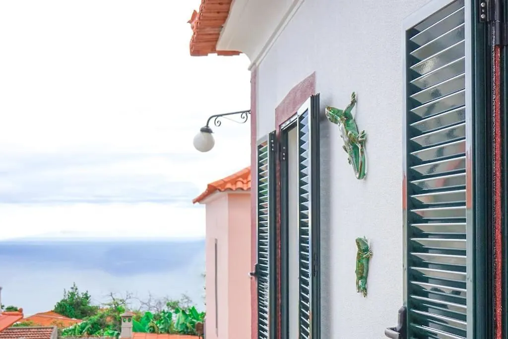 Renovated Traditional House W 3Br & Outdoor Space Funchal  Funchal (Madeira)